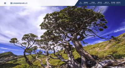 元周開發建設有限公司 網頁設計